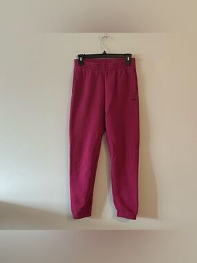 TNA Aritzia Cozy Fleece Sweatfleece Perfect Fit XS Joggers Sweatpants Fuchsia